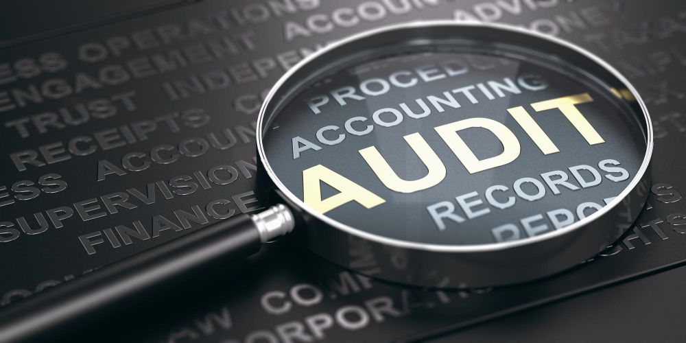 audit magnify